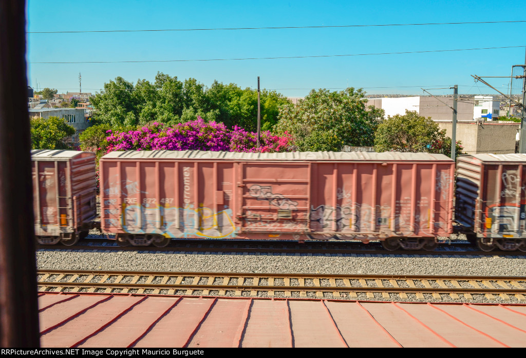 FXE Box Car